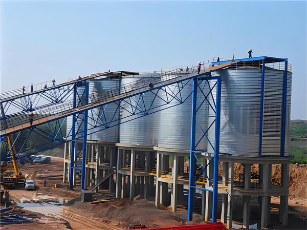 总口管理区螺旋钢板仓