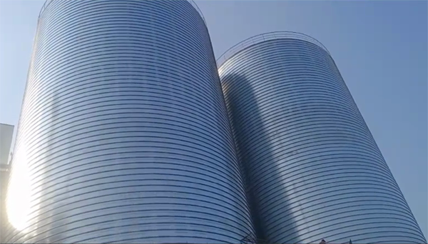 总口管理区2座混凝土高架卷板仓