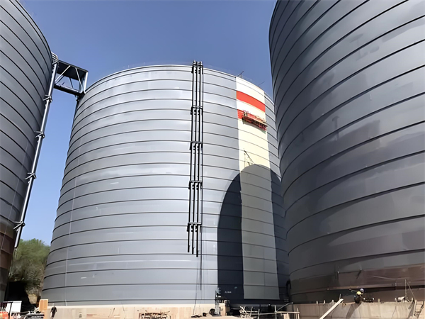 总口管理区焦粉仓